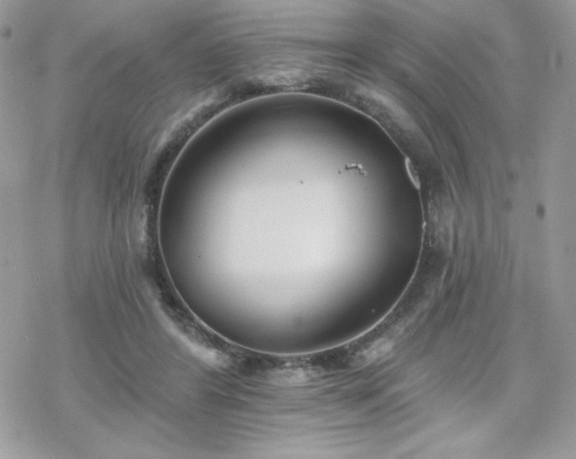 X0000070240404200606051130