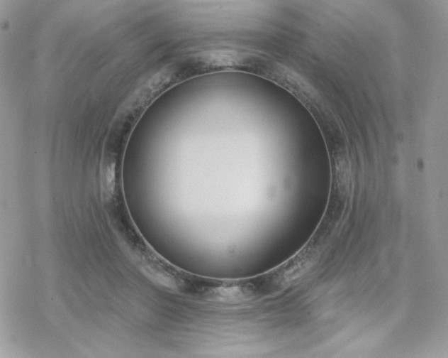 X0000070240406200606051130