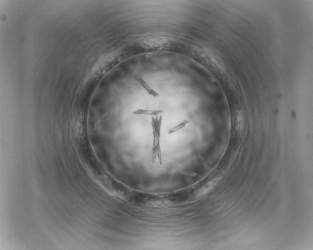 X0000070240408200606051130