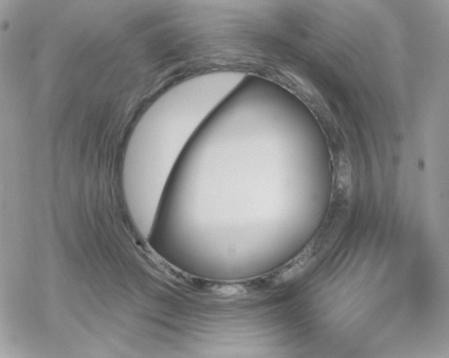 X0000070240409200606051130