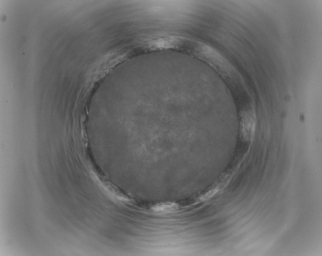 X0000070240410200606051130