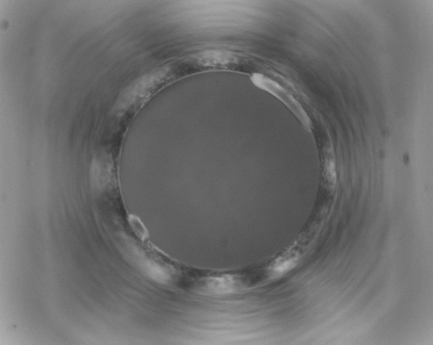 X0000070240411200606051130