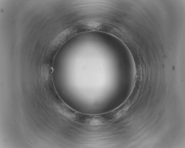 X0000070240412200606051130