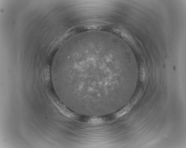 X0000070240413200606051130