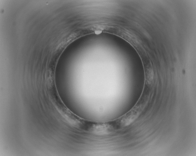 X0000070240414200606051130