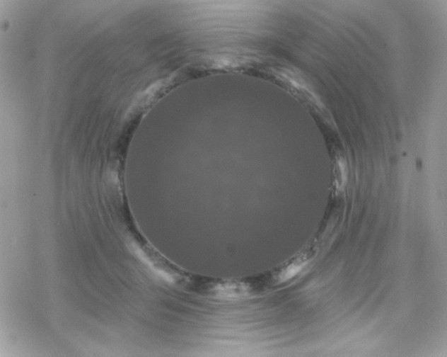 X0000070240415200606051130