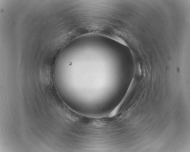 X0000070240416200606051130