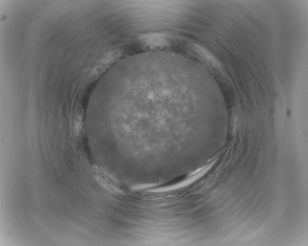 X0000070240417200606051130