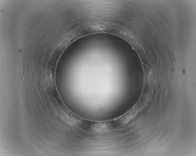 X0000070240418200606051130