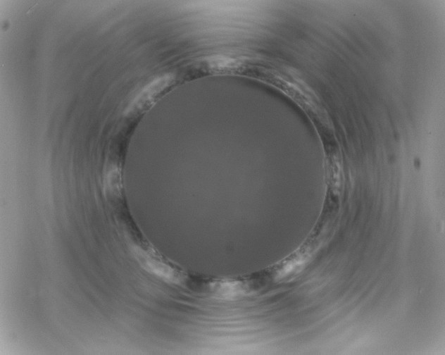 X0000070240419200606051130