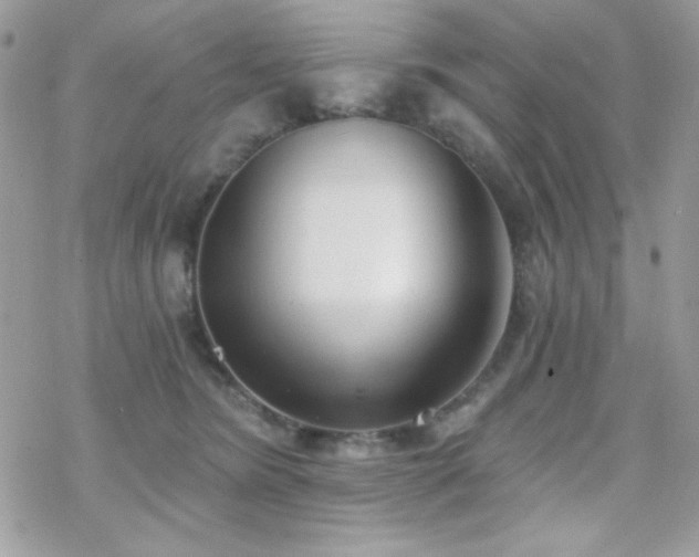 X0000070240420200606051130