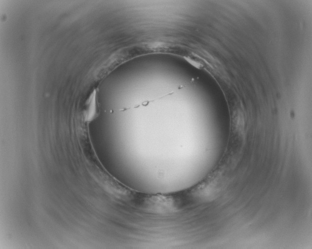 X0000070240421200606051129