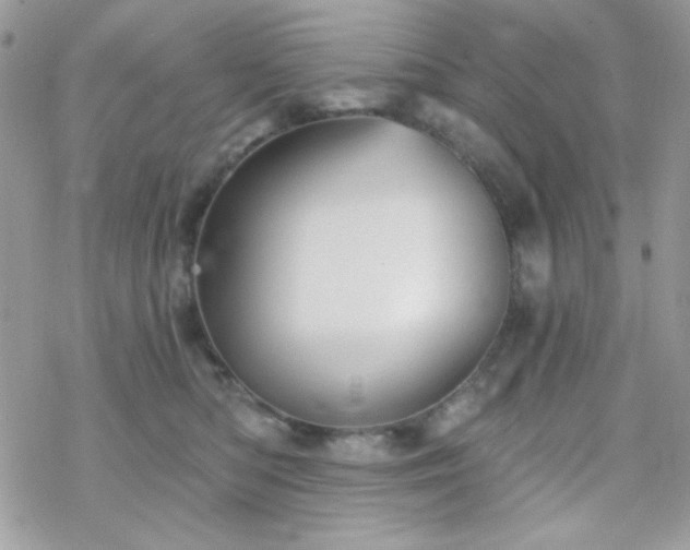 X0000070240422200606051129