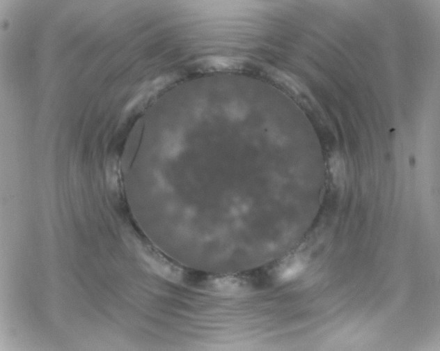 X0000070240423200606051129