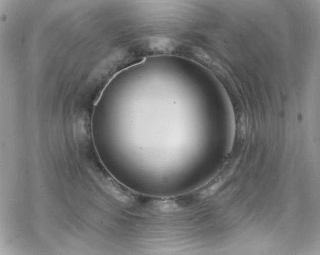 X0000070240424200606051129