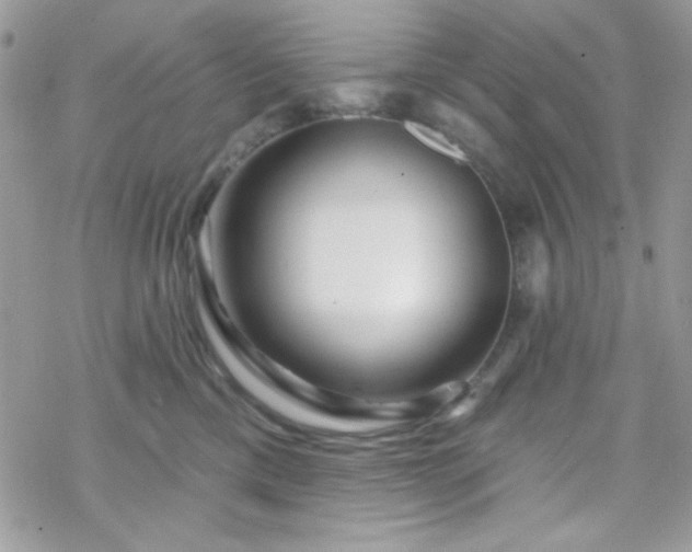 X0000070240425200606051129