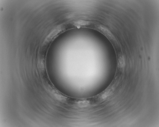 X0000070240426200606051129