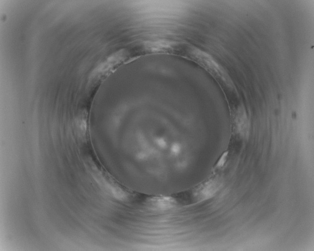 X0000070240427200606051129