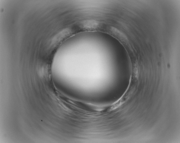 X0000070240428200606051129