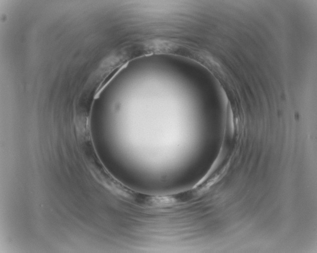 X0000070240429200606051129