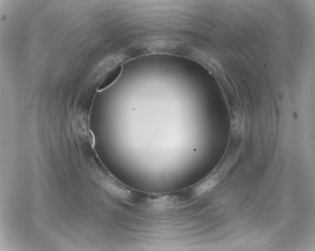 X0000070240430200606051129