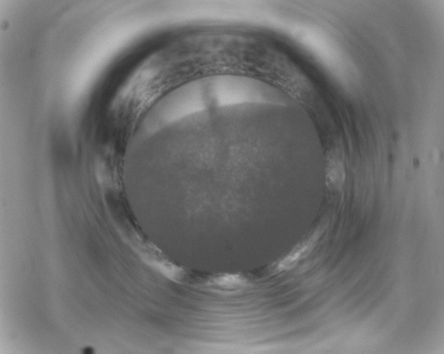 X0000070240431200606051129