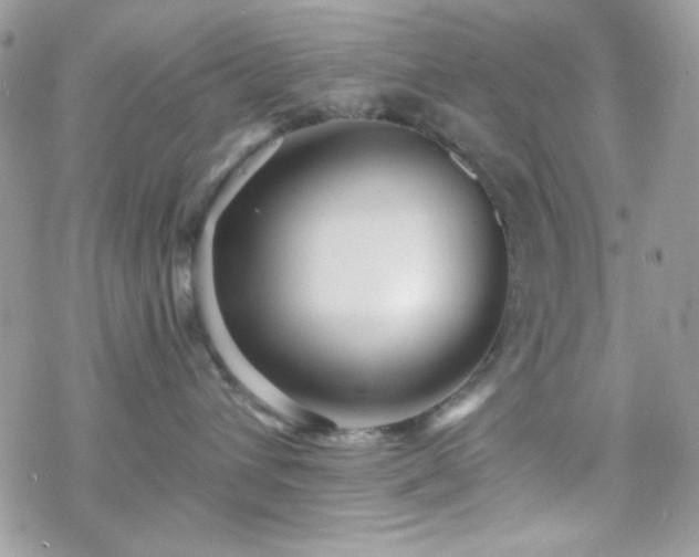 X0000070240432200606051129