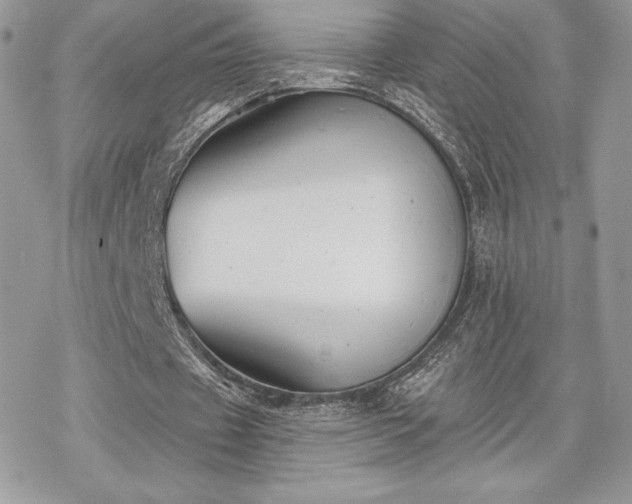 X0000070240433200606051129