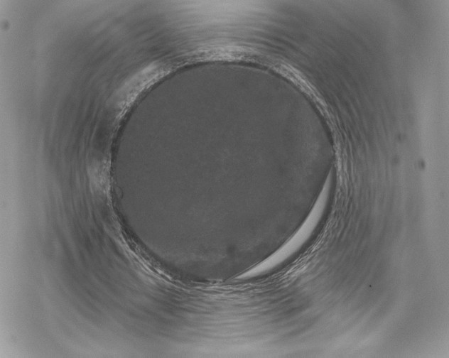 X0000070240434200606051129