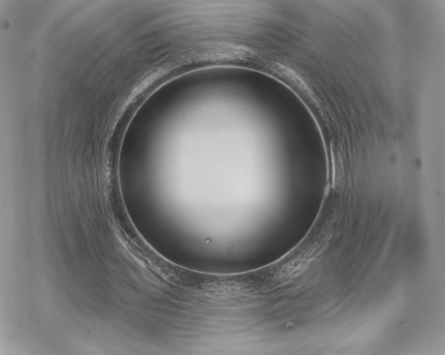 X0000070240435200606051129