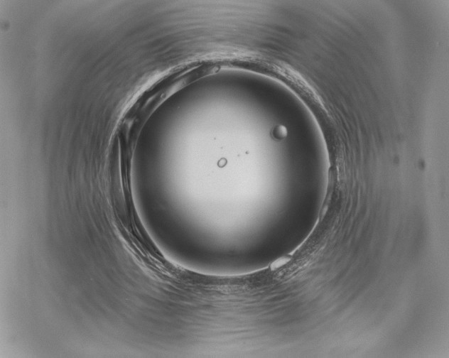 X0000070240436200606051129