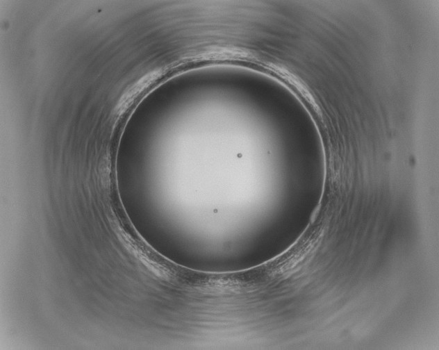 X0000070240437200606051129