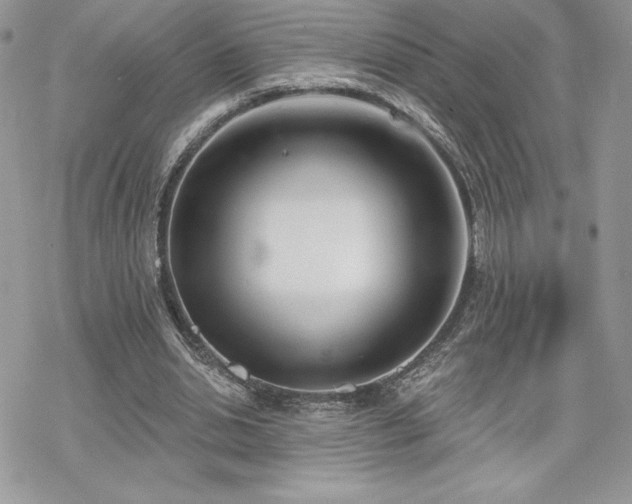 X0000070240438200606051129