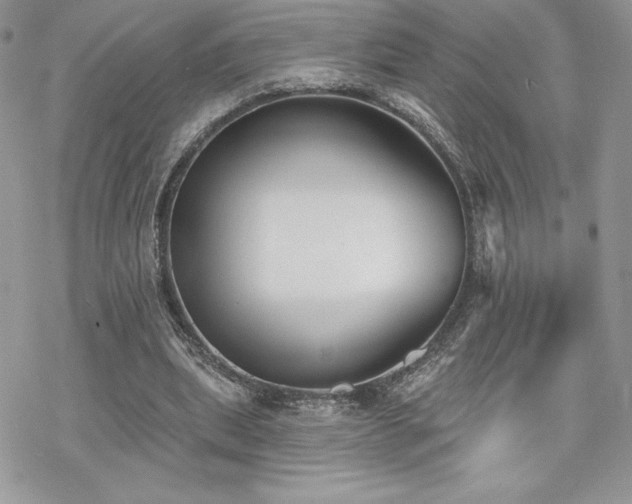 X0000070240439200606051129