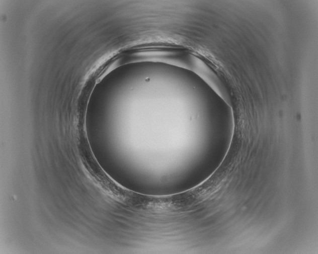 X0000070240440200606051129