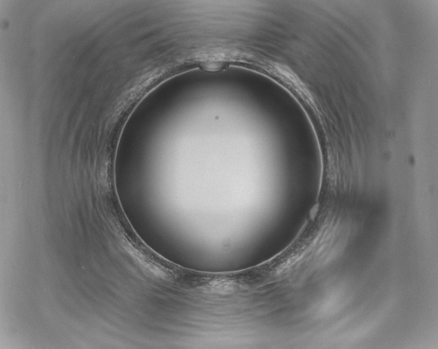 X0000070240441200606051129