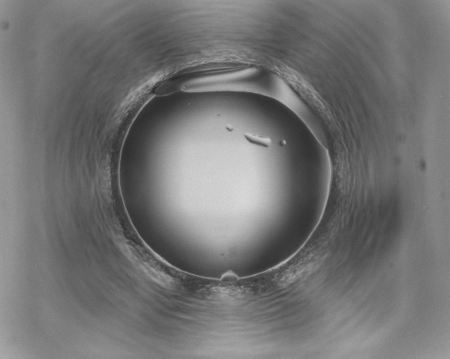 X0000070240442200606051129