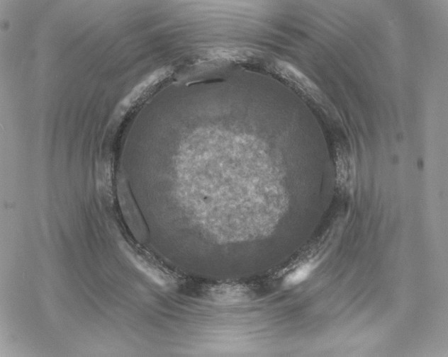 X0000070240444200606051129