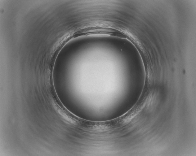 X0000070240445200606051129