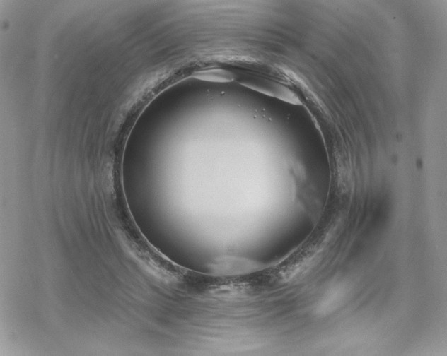 X0000070240447200606051129