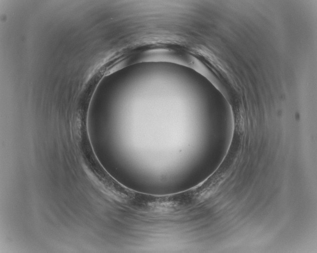 X0000070240448200606051129