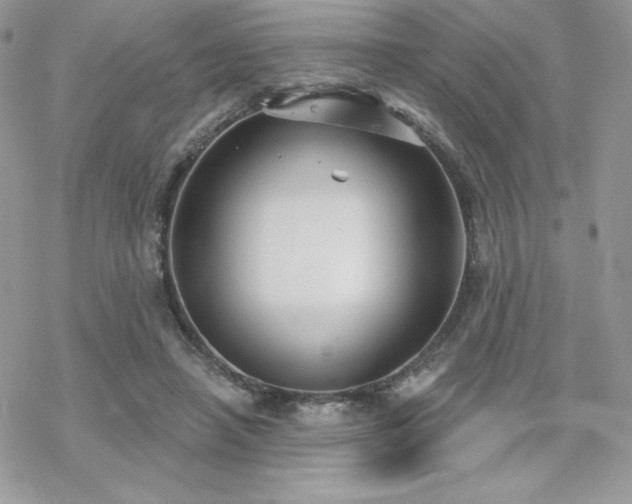 X0000070240450200606051129