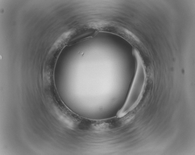 X0000070240452200606051129