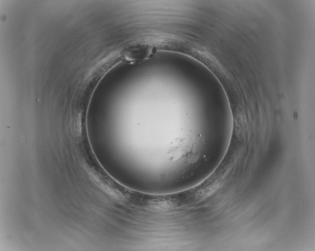 X0000070240454200606051129