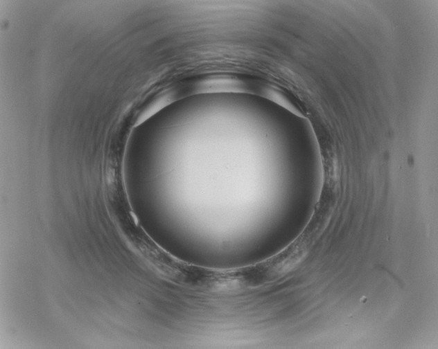 X0000070240456200606051129