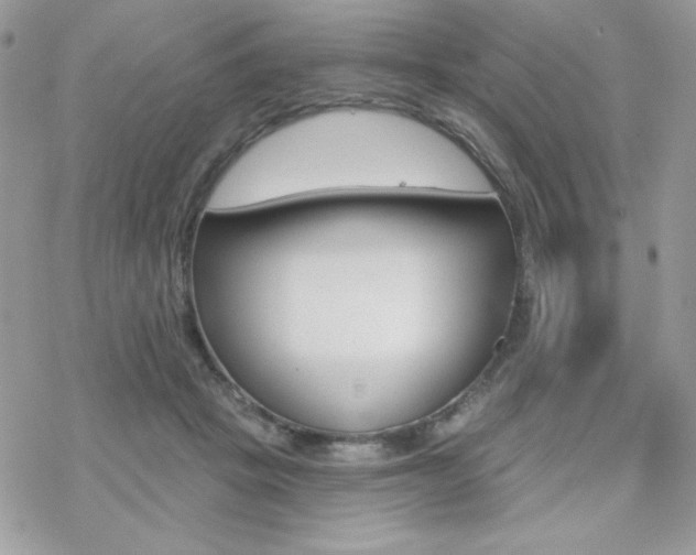 X0000070240457200606051129