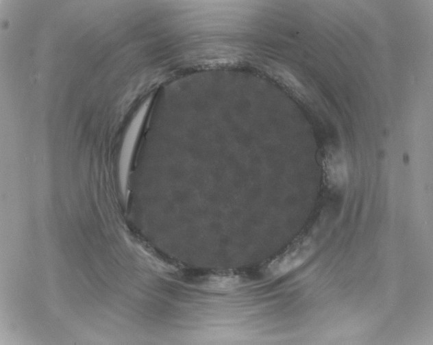 X0000070240458200606051129