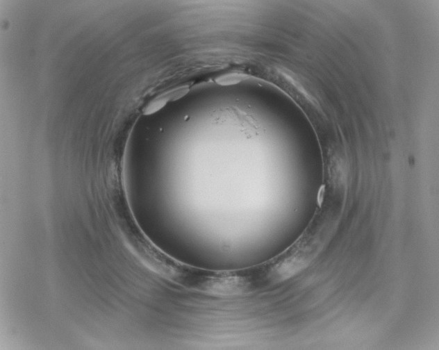 X0000070240459200606051129