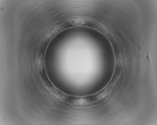 X0000070240460200606051129