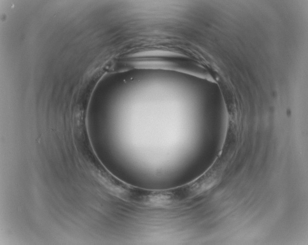 X0000070240462200606051129